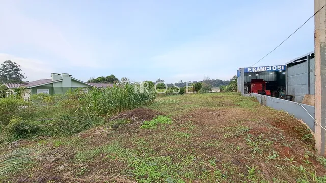 Terreno, foto 3