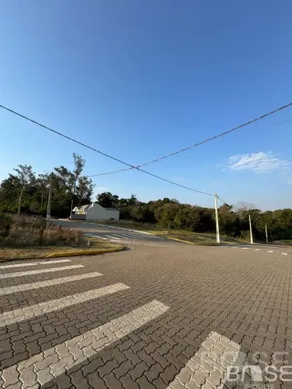 Terreno, foto 1