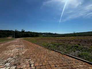 Terreno, foto 3