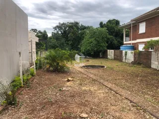 Terreno, foto 3