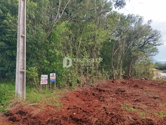 Terreno, foto 2