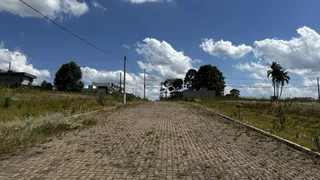 Uma estrada de paralelepípedos atravessa uma área de grama seca sob um céu azul.