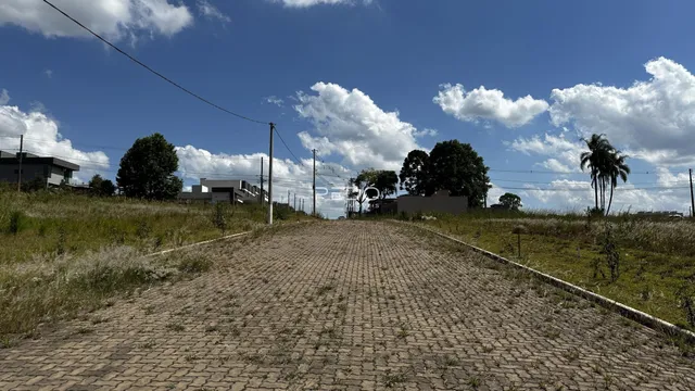 Uma estrada de paralelepípedos atravessa uma área de grama seca sob um céu azul.