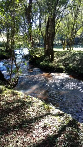 Área rural com 4 dormitórios, foto 5
