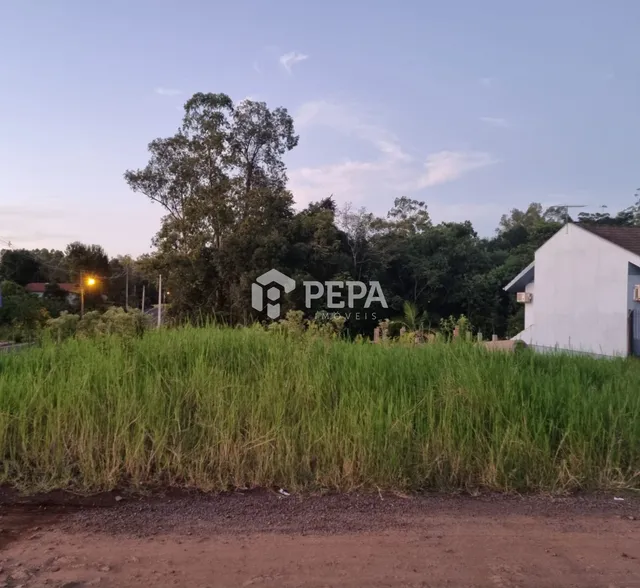 Terreno, foto 3