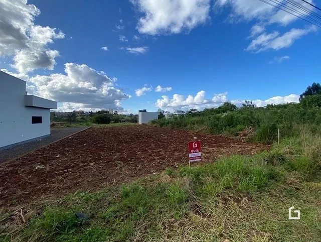 Vista de uma área de terreno com vegetação e céu azul.
