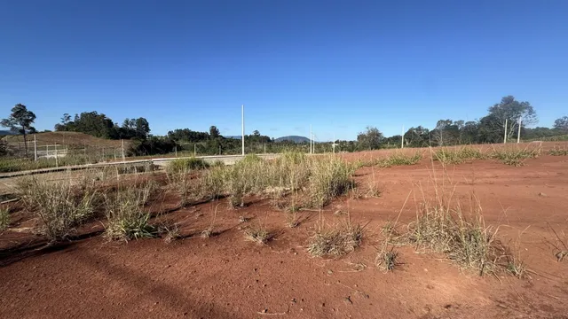 Vista de um campo seco com vegetação rasteira sob um céu azul.
