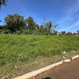 Vista de um campo gramado com vegetação densa ao fundo.