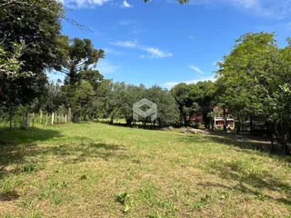 Terreno, foto 3