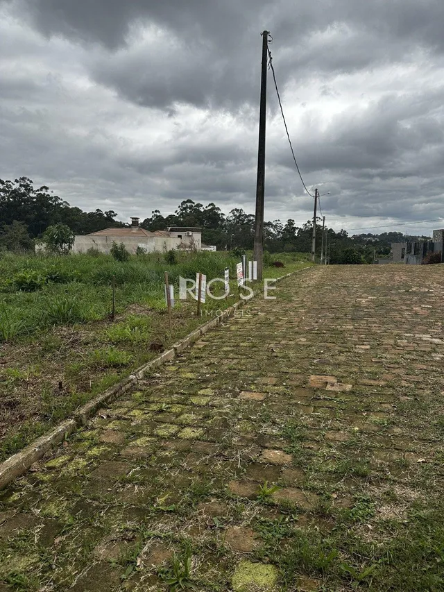 Terreno, foto 3