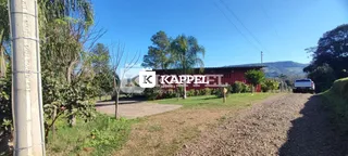 Vista externa de uma propriedade com vegetação e uma estrada de terra.