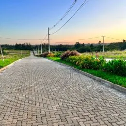 Uma estrada pavimentada com vegetação ao longo do caminho.