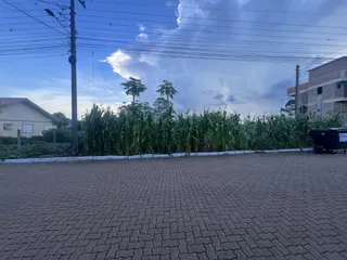 Terreno, foto 2
