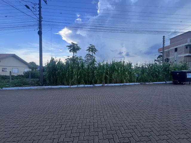 Terreno, foto 2