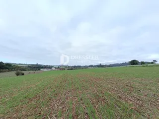 Vista aérea de uma área de campo verde e marrom em Lajeado, Brasil.