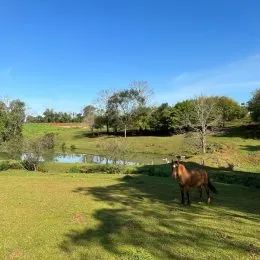 Vista de um campo verde com água e vegetação em uma área rural.