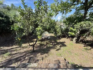 Vista externa de um terreno com vegetação e degraus de pedra.