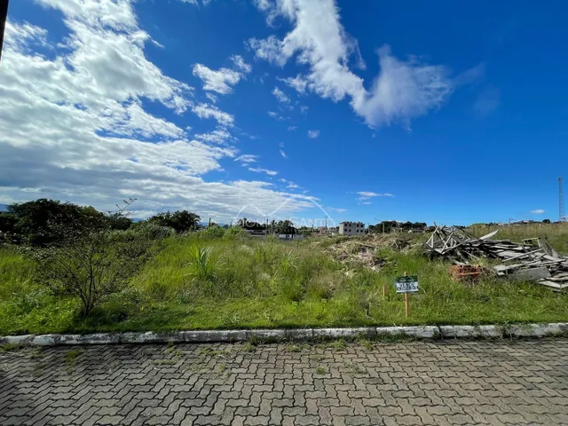 Vista externa da paisagem com vegetação e céu azul.