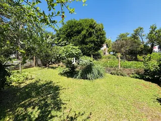 Vista de um jardim verde com árvores densas e gramado sob um céu azul.