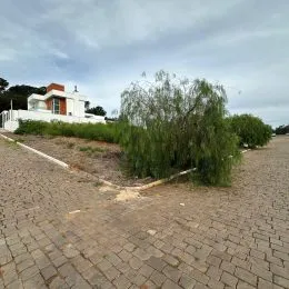 Terreno, foto 2