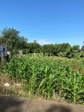 Terreno, foto 3
