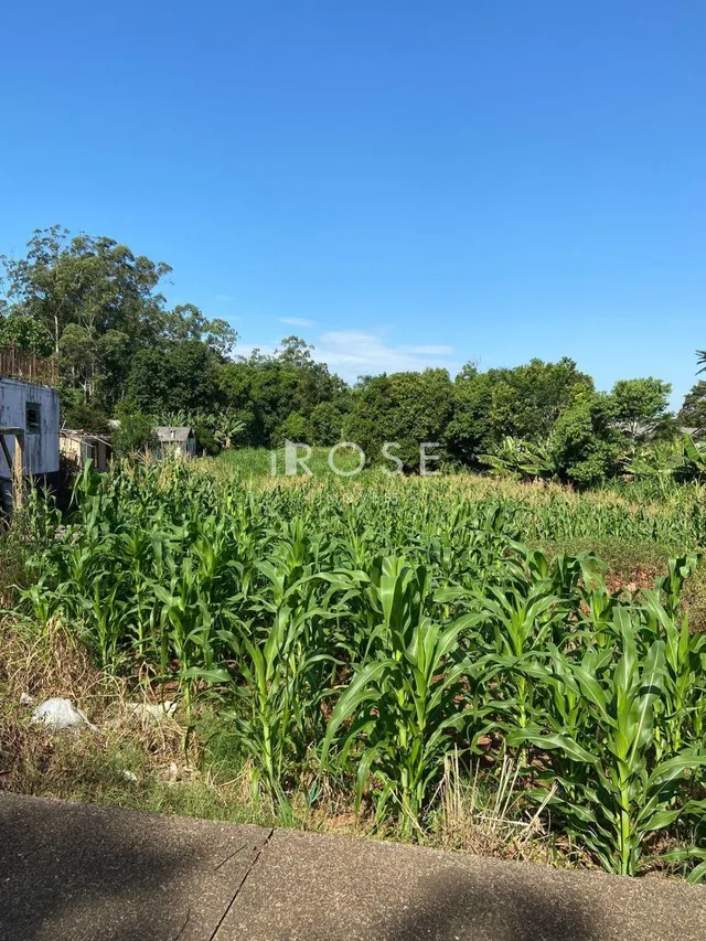 Terreno, foto 3