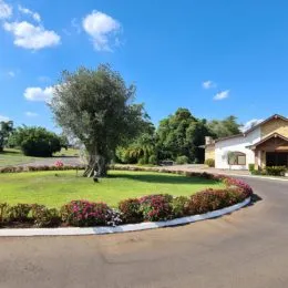 Terreno, foto 12
