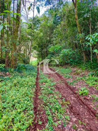 Área rural, foto 11