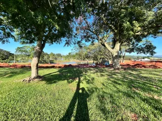 Terreno, foto 8