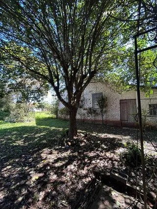 Área rural com 3 dormitórios, foto 8
