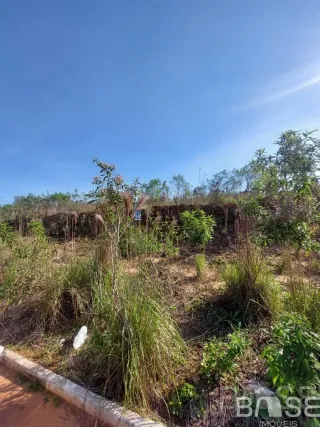 Terreno, foto 2