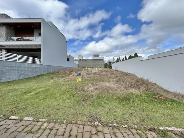Terreno, foto 2