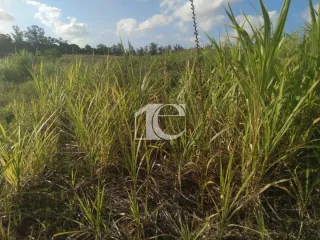 Terreno, foto 5