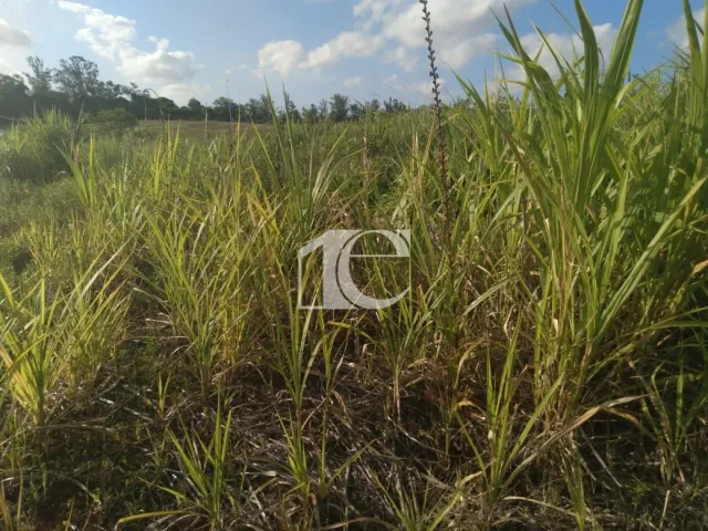 Terreno, foto 5