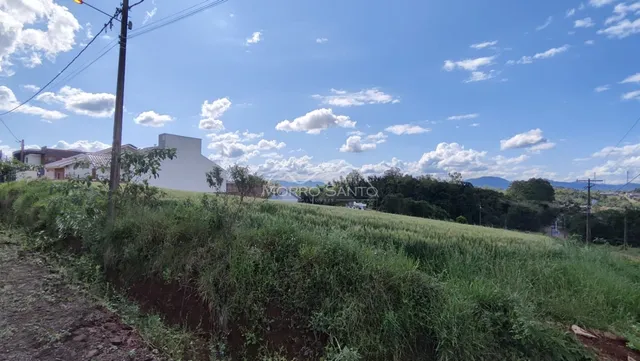 Terreno, foto 2