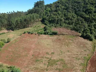 Área rural, foto 4