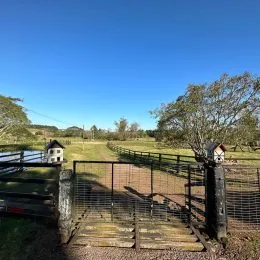 Área rural, foto 18