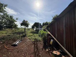 Vista externa de uma área de terreno com vegetação e cerca de metal ondulado.