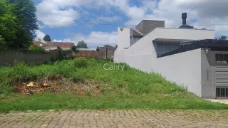 Terreno, foto 1