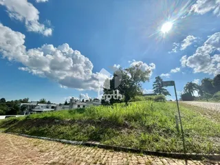 Terreno, foto 3
