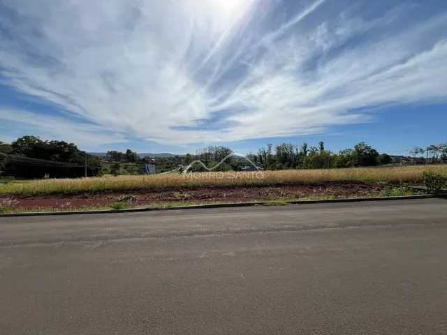 Vista de paisagem rural com vegetação e estrada no horizonte.