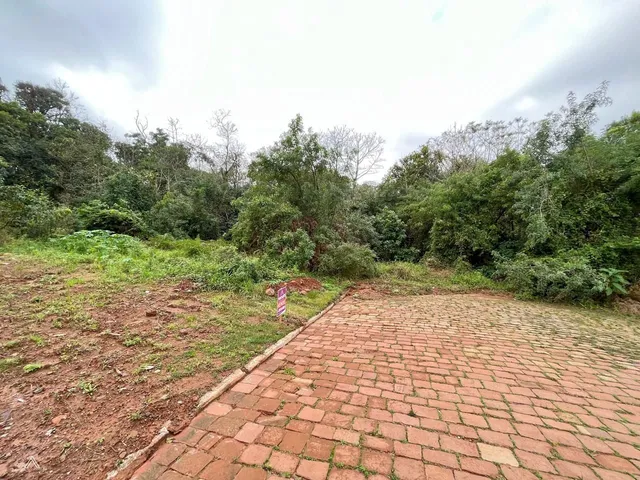 Terreno, foto 3