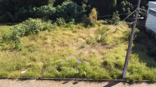 Vista externa de terreno com vegetação alta e poste de luz em Lajeado.