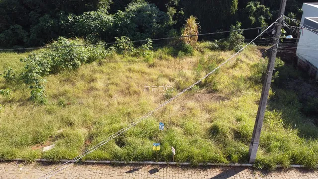 Vista externa de terreno com vegetação alta e poste de luz em Lajeado.