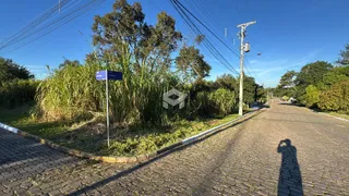 Vista de uma rua pavimentada com vegetação lateral em Lajeado, Brasil.