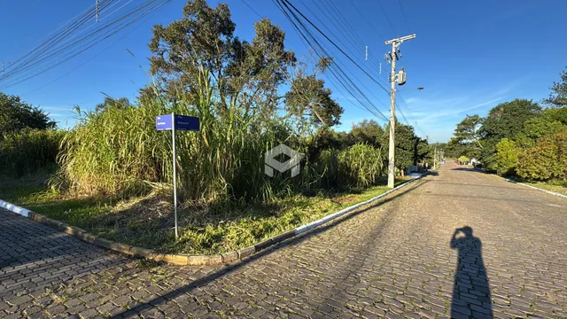 Vista de uma rua pavimentada com vegetação lateral em Lajeado, Brasil.