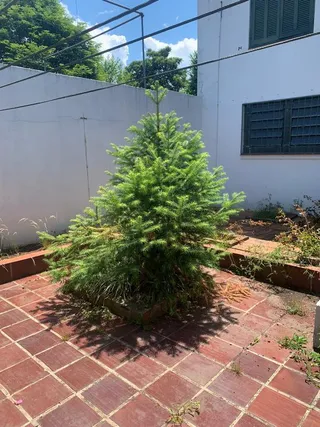 Casa com 5 dormitórios, foto 16