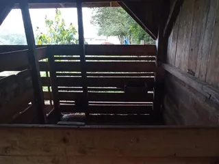 Área rural com 3 dormitórios, foto 10
