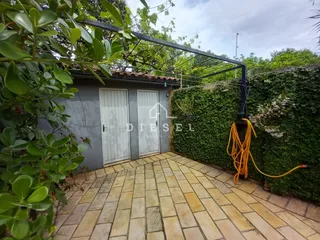 Vista externa de um pátio com piso de ladrilhos e vegetação densa.