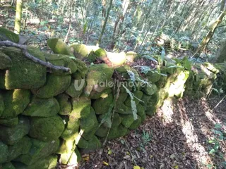 Área rural, foto 10